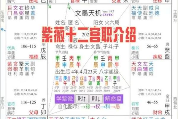 紫微斗数官禄宫详解，能否事业有成全看它