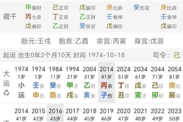 八字辛巳是浪子命格吗