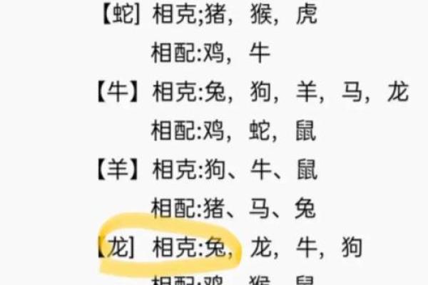 生肖龙和配对的魂伴