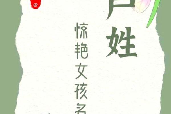 卢姓女孩名字大全-卢姓女孩起名字大全-卢姓名字大全姓名