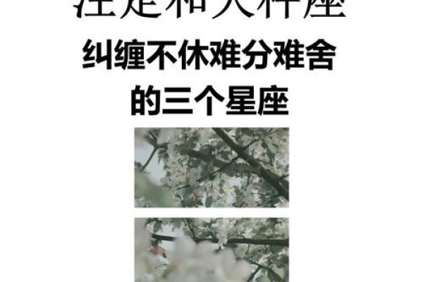 天秤座的爱情观如何 天秤座和哪个星座最配