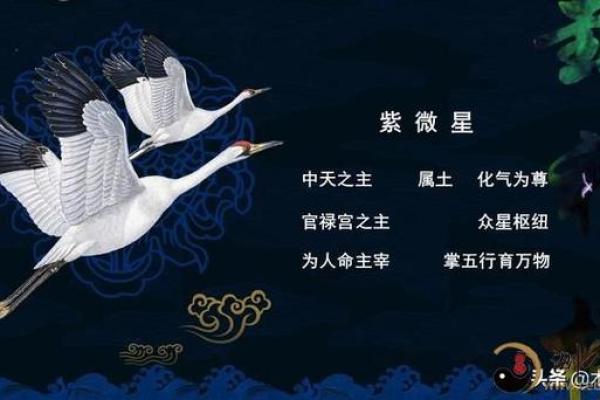 紫薇斗数中天才