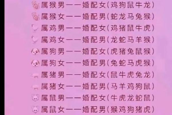 生肖兔的最佳婚配 谁跟属兔人更配对