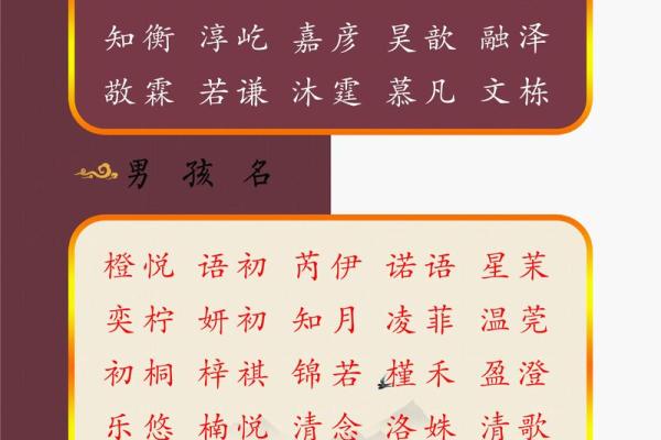 晚上9点出生的属蛇男孩该如何起名，适合用什么字姓名