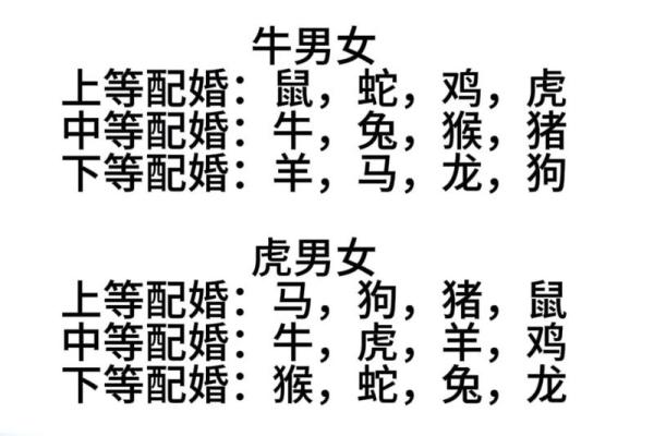 生肖配对，是什么道理？啥属相不合？终于明白了