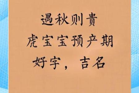 取名网免费姓名测试,虎宝宝取名心字好不好