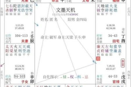 紫薇斗数巨富的条件