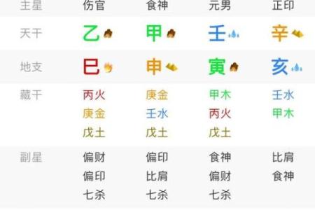 八字辛巳是浪子命格吗