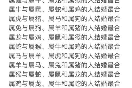 91年属什么生肖多大 婚配表 配对 什么命