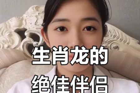 生肖龙和配对的魂伴