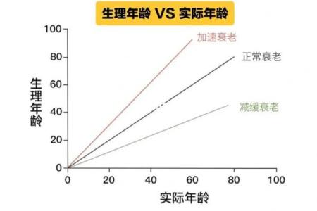 生理年龄测试仪器 检测生理年龄跟实际年龄差别大