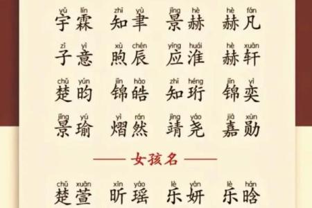 双胞胎男孩和女孩的名字都是有什么样的-姓名学-华易网姓名