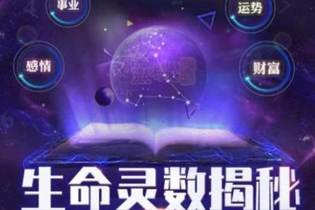 生命灵数2和5配对到老吗