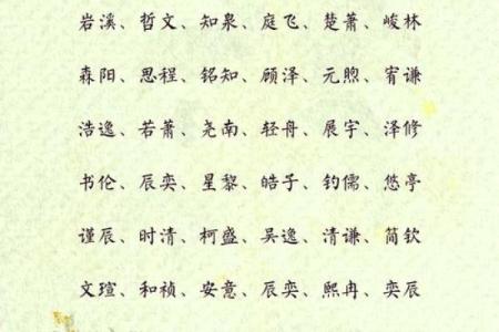 2019年6月20号卯时出生的男孩起名时要注意什么姓名