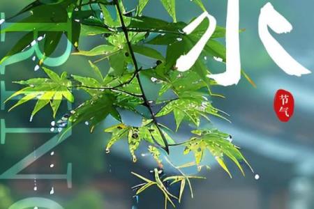 风水财_下雨算流水生财吗