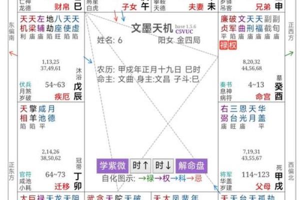 紫薇星化忌怎么看