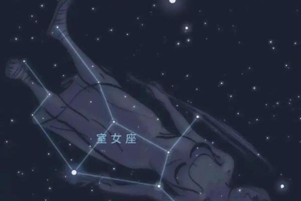 09.17星座及其性格特征：揭秘处女座的秘密