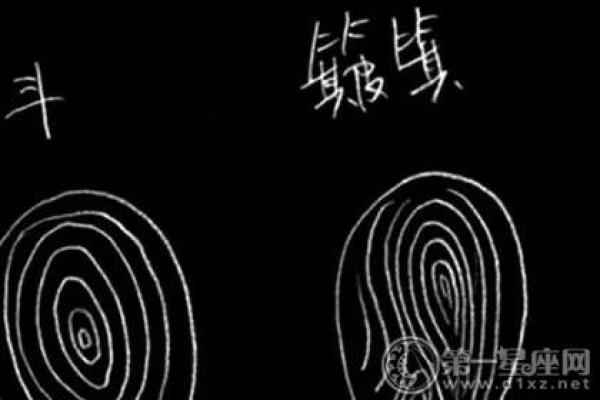 张雨鑫八字评分与命运如何？