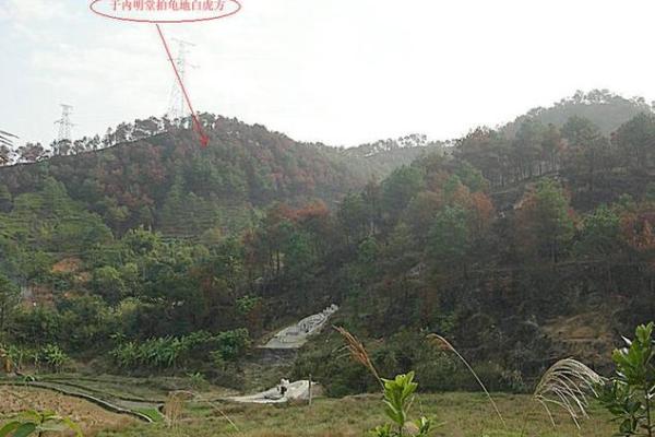 好风水墓地的前兆必蒙阴子孙