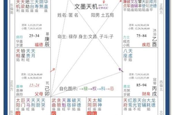 【紫微斗数】排盘技巧037：紫微斗数的国际交流