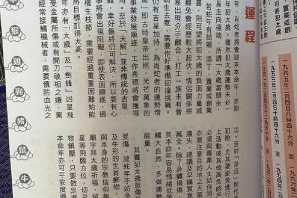 苏民峰八字