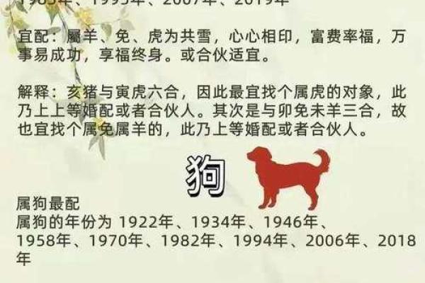 十二属相生肖配对姻缘查询