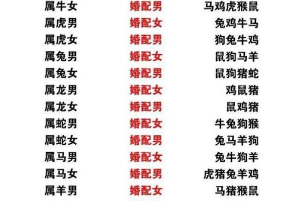十二属相生肖配对姻缘查询
