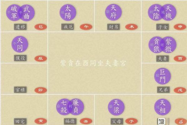 紫薇斗数武贪格