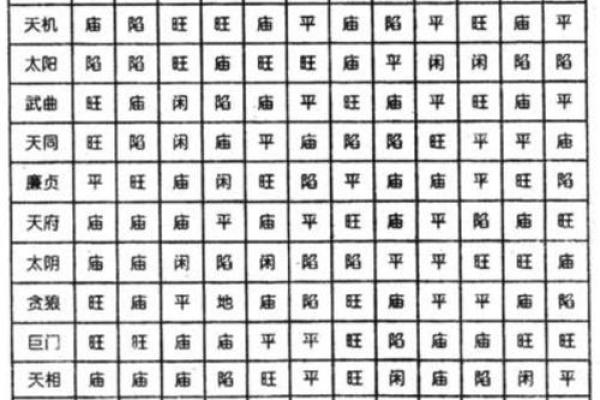 紫薇斗数元神