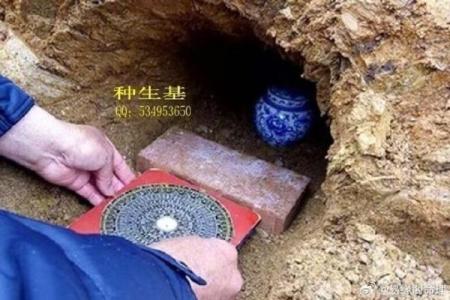 种生基后算命，发现命运大改变