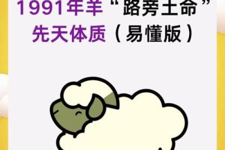 91年属什么生肖配对
