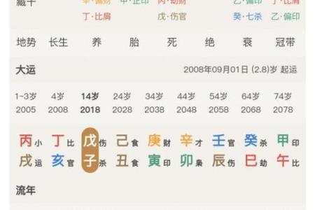 生辰八字排盘网站哪个好