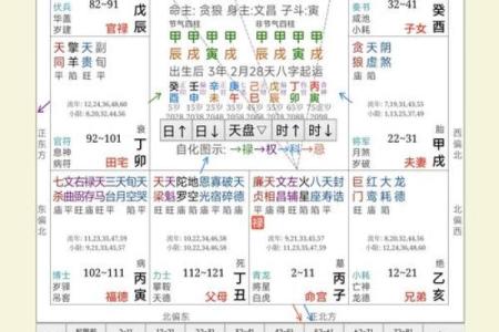 紫薇斗数排盘姓名