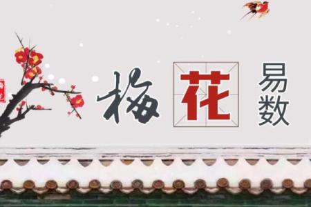 紫薇斗数入门梅花