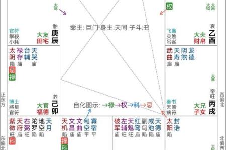 紫微斗数化忌对照 紫微斗数化忌入各宫？