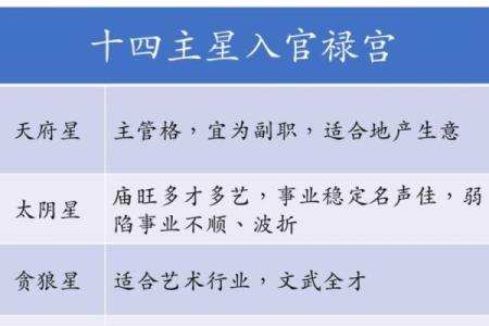 紫薇斗数桃花宫