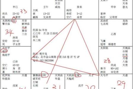 生长紫薇斗数