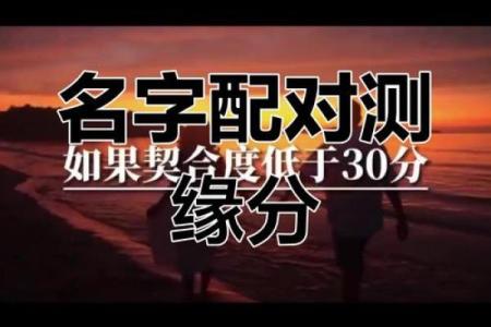姓名配对测试自己皮肤 姓名配对测试自己皮肤的软件？