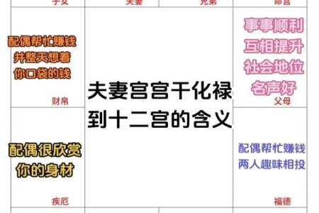 紫薇斗数夫妻天才