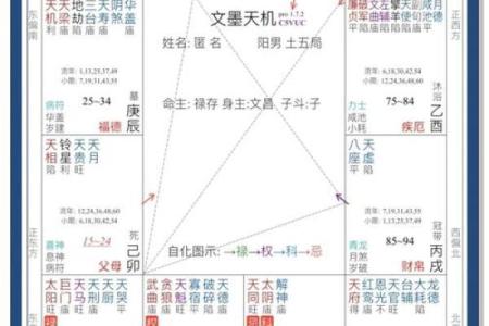【紫微斗数】排盘技巧037：紫微斗数的国际交流