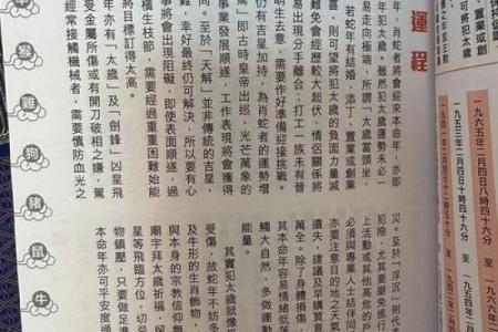 苏民峰八字