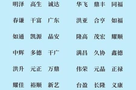 装饰公司名字-名字大全姓名