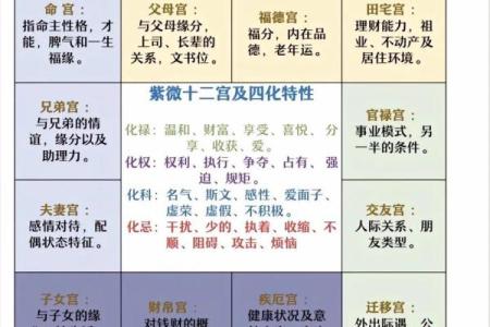 紫薇斗数14颗星代表什么