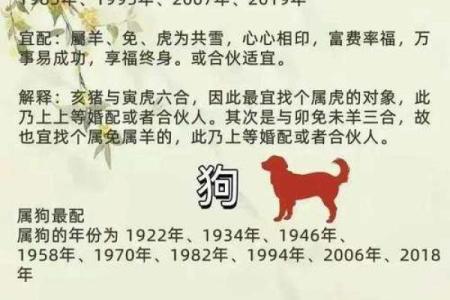 十二属相生肖配对姻缘查询