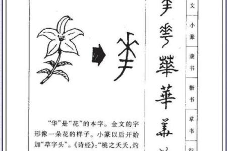 姓霍的名人-姓名学-华易算命网姓名