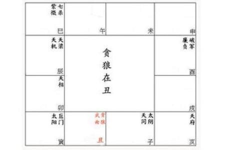紫薇斗数武贪格