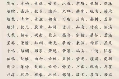 2019年5月5号子时出生的男孩要怎么起名字姓名