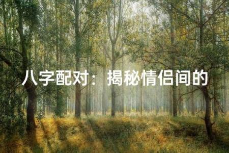 八字缘分测算，看看你和TA的缘分有多深！