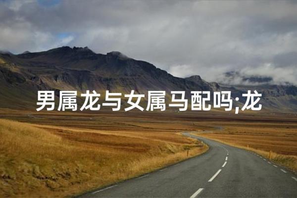 老公属马,老婆属龙,住几层的楼房风水更好？