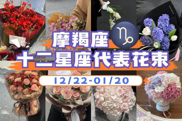 十二星座运势之花